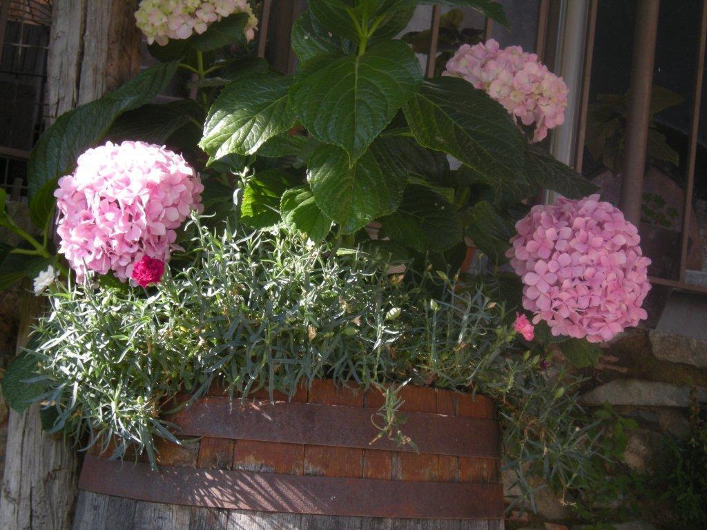 Lasmari'S Bouquet Sykopetra 외부 사진