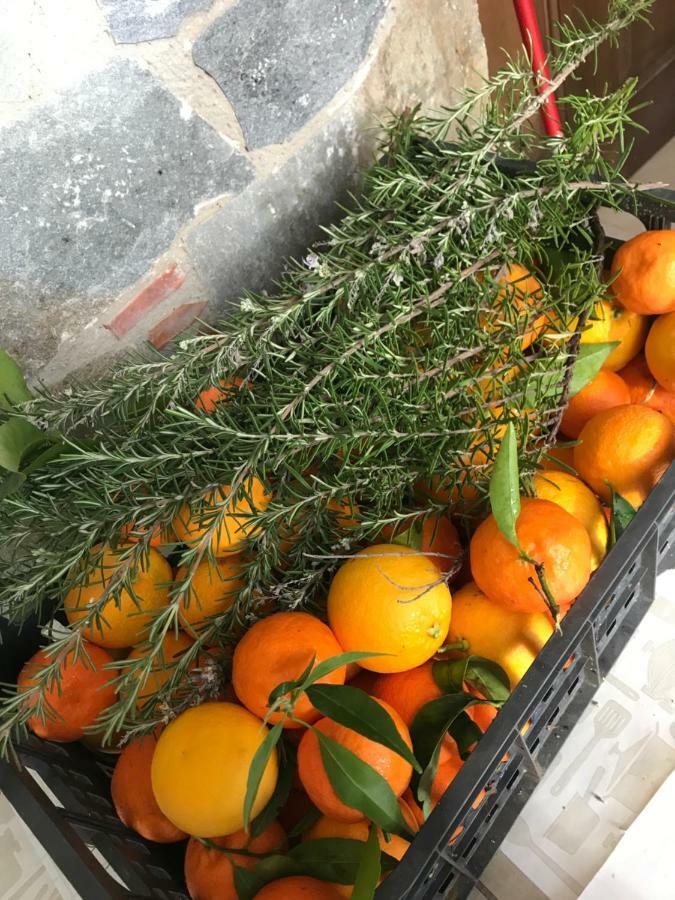 Lasmari'S Bouquet Sykopetra 외부 사진